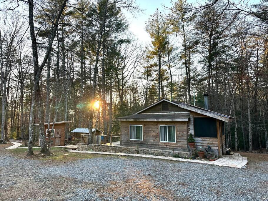 Beautiful & Peaceful Cabin W/ Deck Garden & Fire-Pit Murphy Exterior photo
