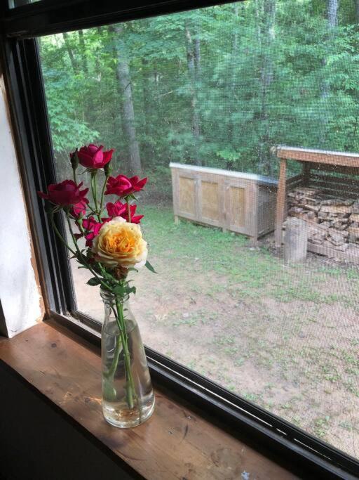 Beautiful & Peaceful Cabin W/ Deck Garden & Fire-Pit Murphy Exterior photo